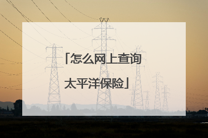 怎么网上查询太平洋保险