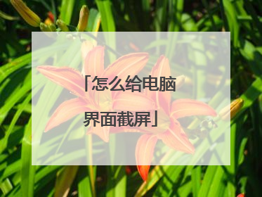 怎么给电脑界面截屏