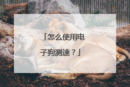 怎么使用电子狗测速?
