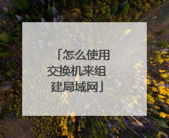 怎么使用交换机来组建局域网
