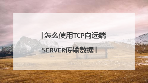 怎么使用TCP向远端SERVER传输数据