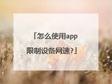 怎么使用app限制设备网速?