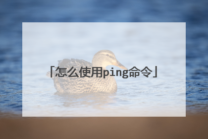 怎么使用ping命令