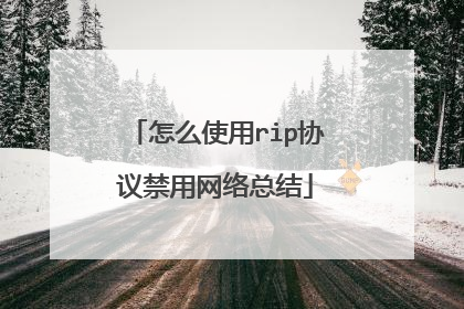 怎么使用rip协议禁用网络总结