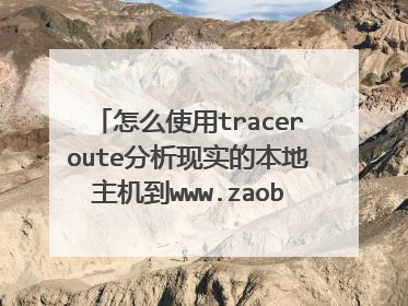 怎么使用traceroute分析现实的本地主机到www.zaob的网络延迟索引