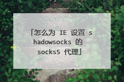 怎么为 IE 设置 shadowsocks 的 socks5 代理