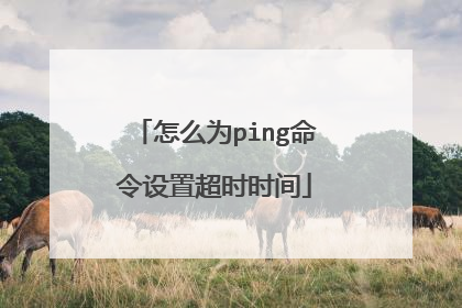 怎么为ping命令设置超时时间