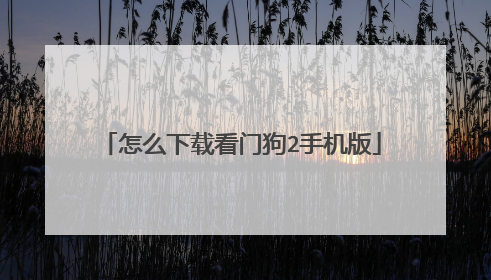 怎么下载看门狗2手机版