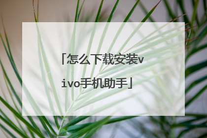 怎么下载安装vivo手机助手