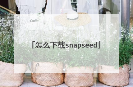 怎么下载snapseed
