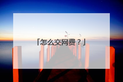 怎么交网费?