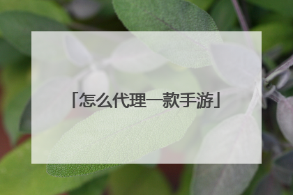 怎么代理一款手游
