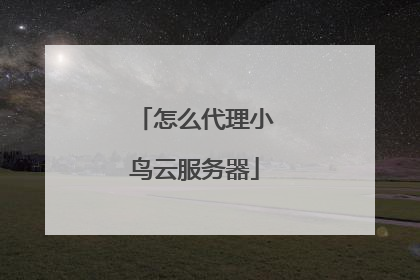 怎么代理小鸟云服务器