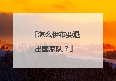 怎么伊布要退出国家队？