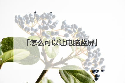 怎么可以让电脑蓝屏