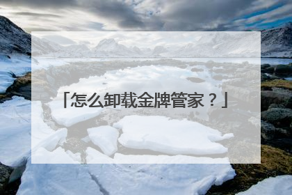 怎么卸载金牌管家?