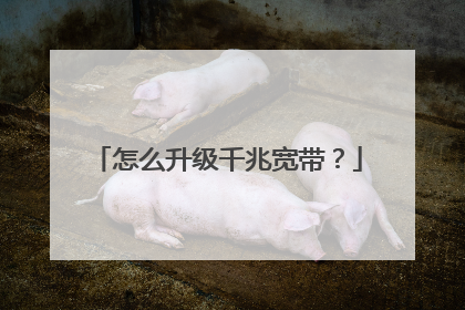 怎么升级千兆宽带?