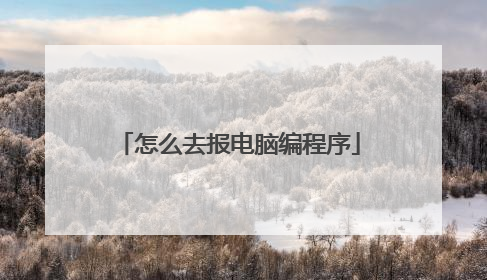 怎么去报电脑编程序
