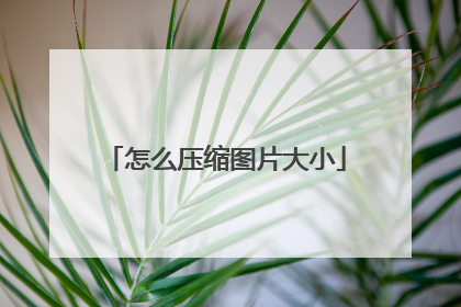 怎么压缩图片大小