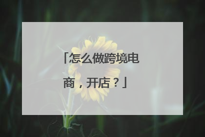 怎么做跨境电商,开店?