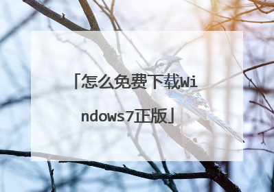 怎么免费下载Windows7正版