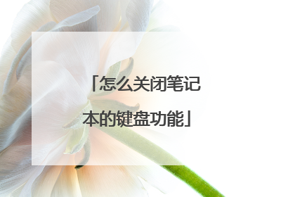 怎么关闭笔记本的键盘功能
