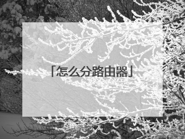 怎么分路由器