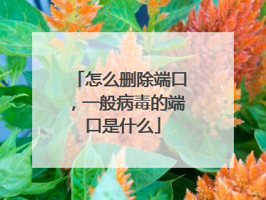 怎么删除端口，一般病毒的端口是什么