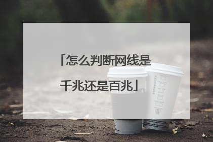 怎么判断网线是千兆还是百兆