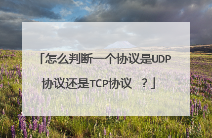 怎么判断一个协议是UDP协议还是TCP协议 ?