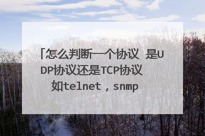 怎么判断一个协议 是UDP协议还是TCP协议 如telnet,snmp,dns,dhcp