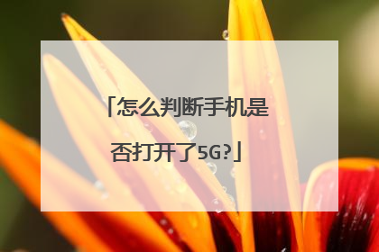 怎么判断手机是否打开了5G?
