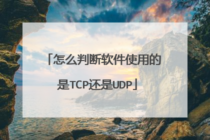 怎么判断软件使用的是TCP还是UDP