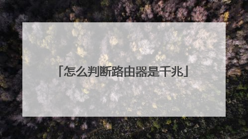 怎么判断路由器是千兆