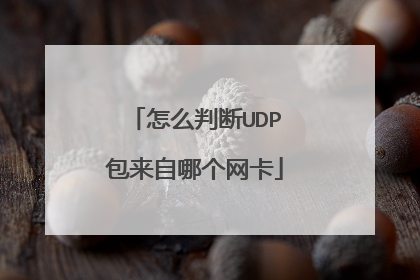 怎么判断UDP包来自哪个网卡