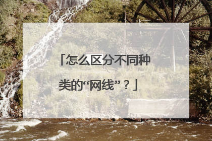 怎么区分不同种类的“网线”?