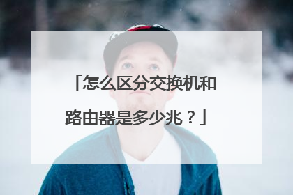 怎么区分交换机和路由器是多少兆？