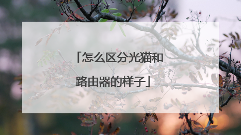 怎么区分光猫和路由器的样子