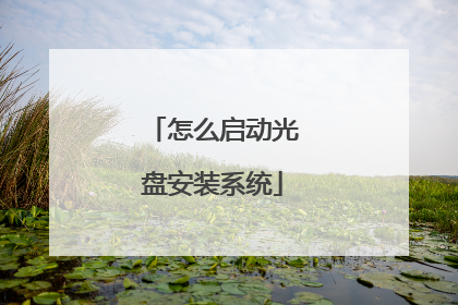 怎么启动光盘安装系统