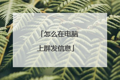 怎么在电脑上群发信息