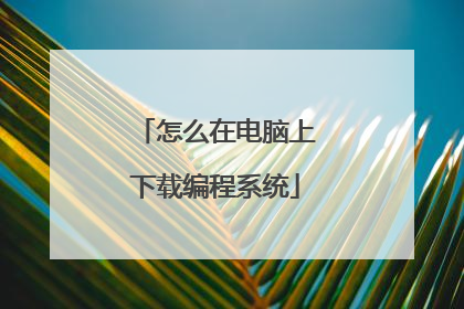 怎么在电脑上下载编程系统
