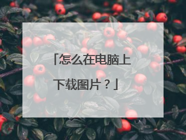 怎么在电脑上下载图片?