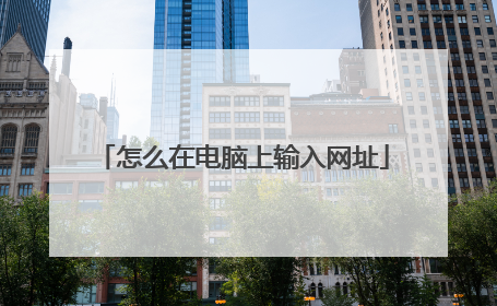 怎么在电脑上输入网址