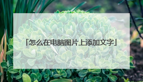 怎么在电脑图片上添加文字