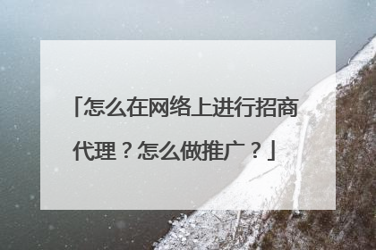 怎么在网络上进行招商代理？怎么做推广？