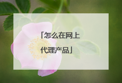 怎么在网上代理产品