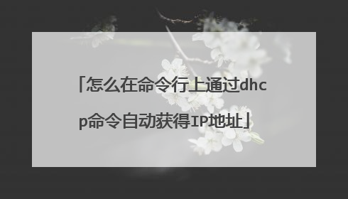 怎么在命令行上通过dhcp命令自动获得IP地址