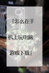 怎么在手机上玩电脑游戏下载