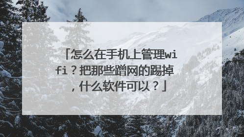 怎么在手机上管理wifi?把那些蹭网的踢掉,什么软件可以?