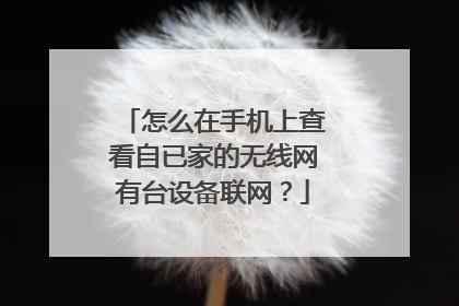 怎么在手机上查看自已家的无线网有台设备联网？